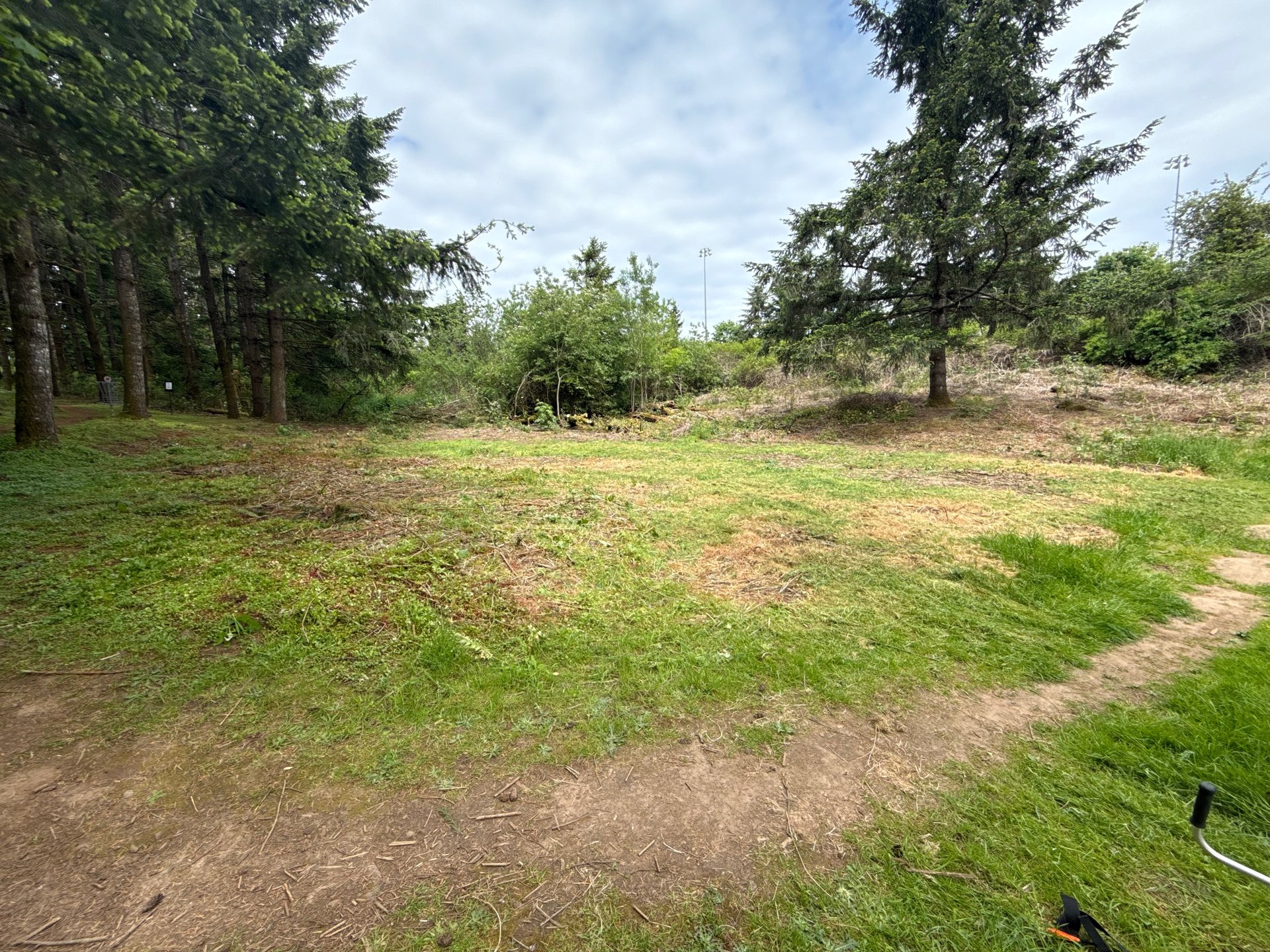 View of open area looking towards basket