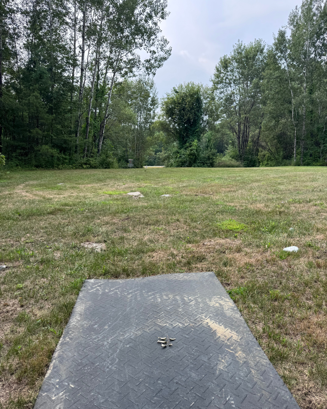 Hole 15 tee pad