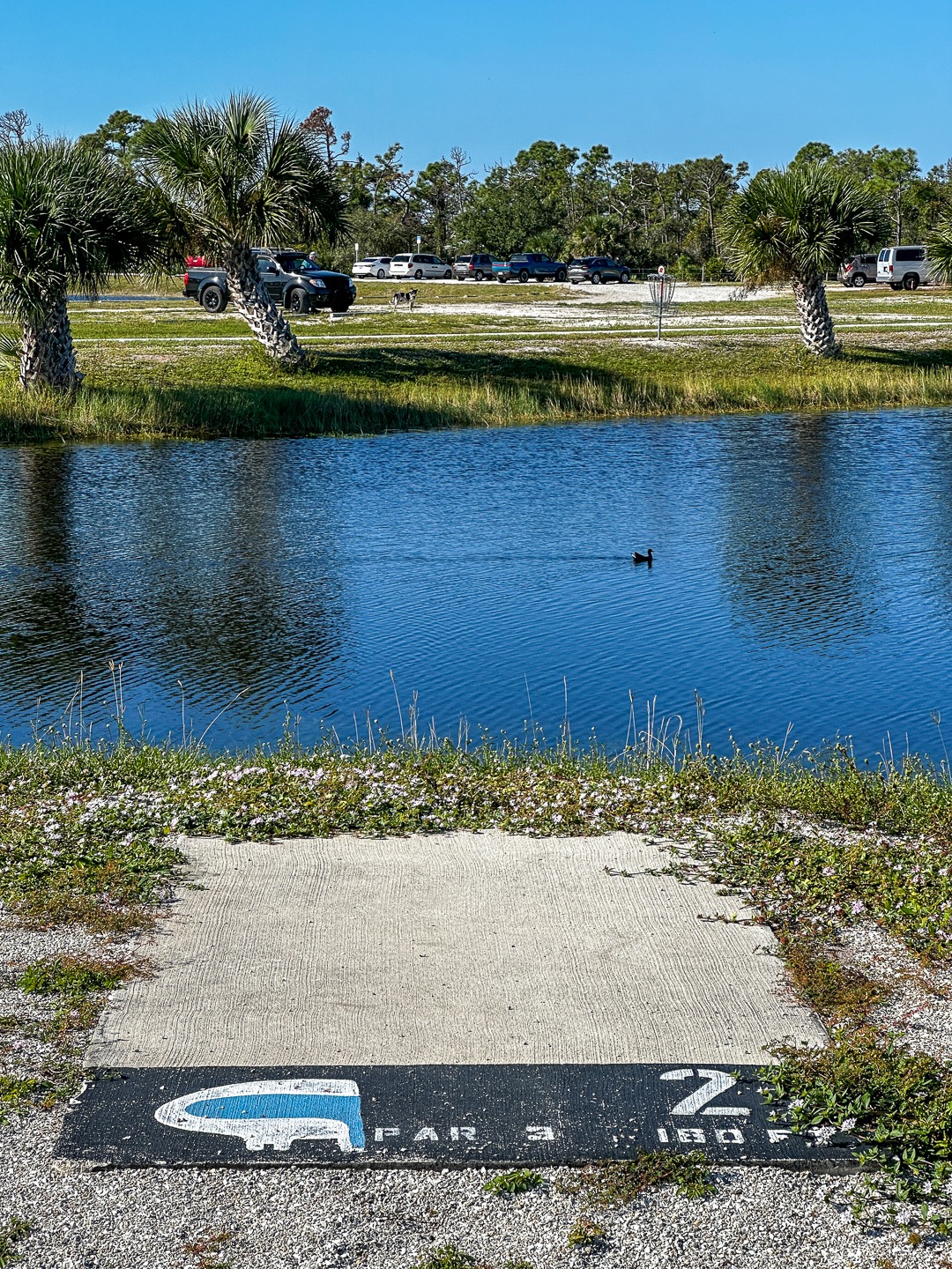 Current tee location 10/2025 - 165 ft to basket from front of tee