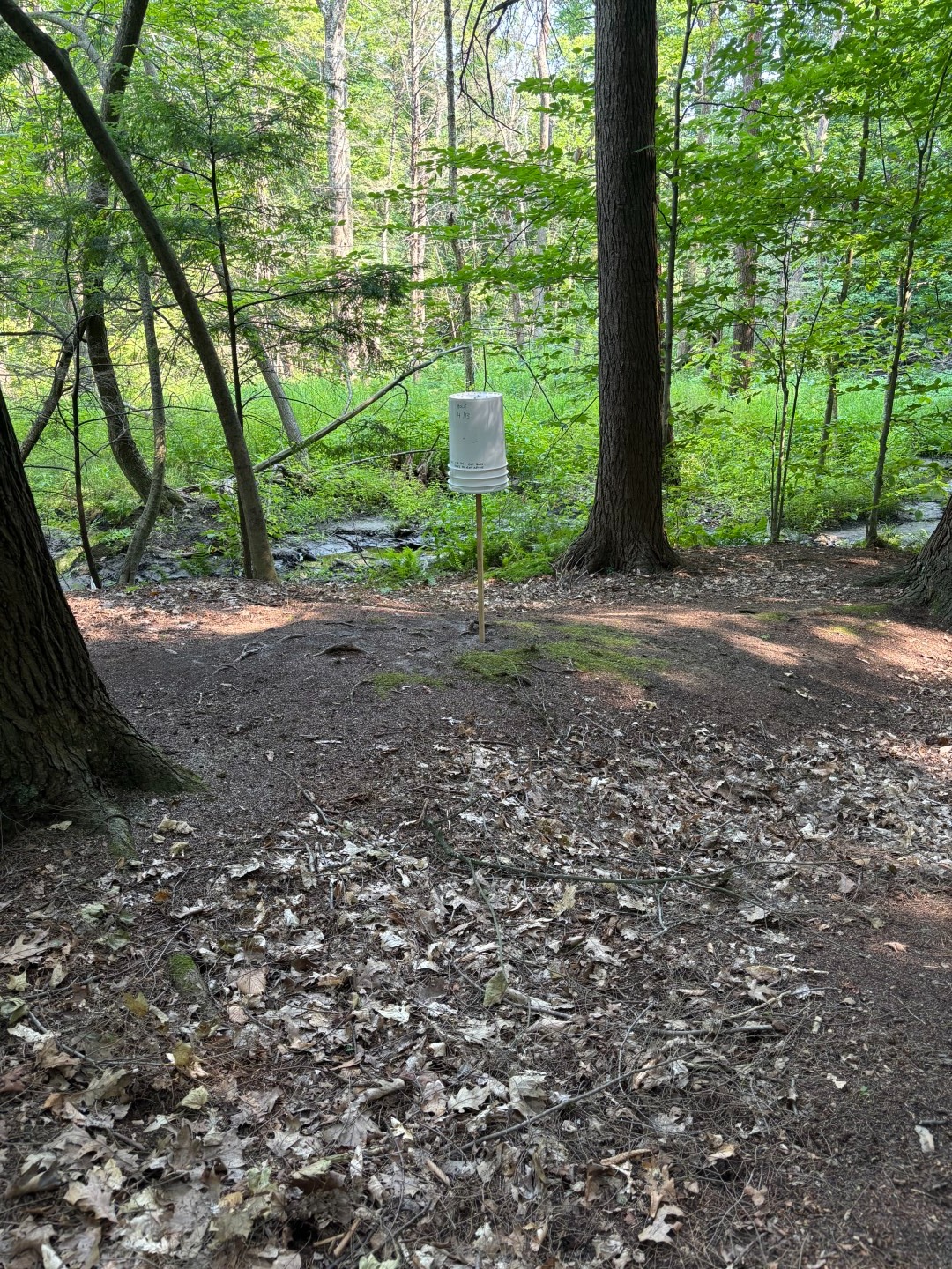 Hole 4/13 bucket