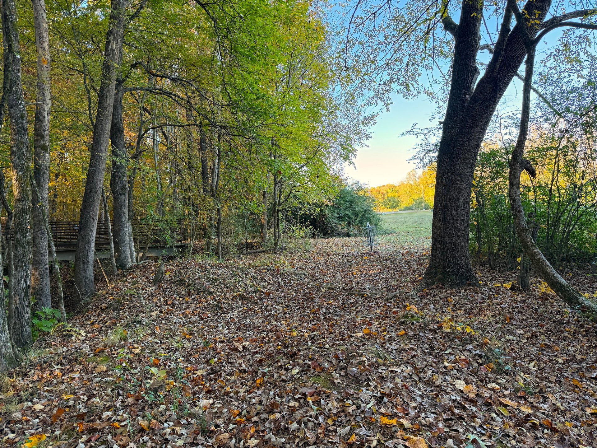 Hole 9 Approaching the Basket