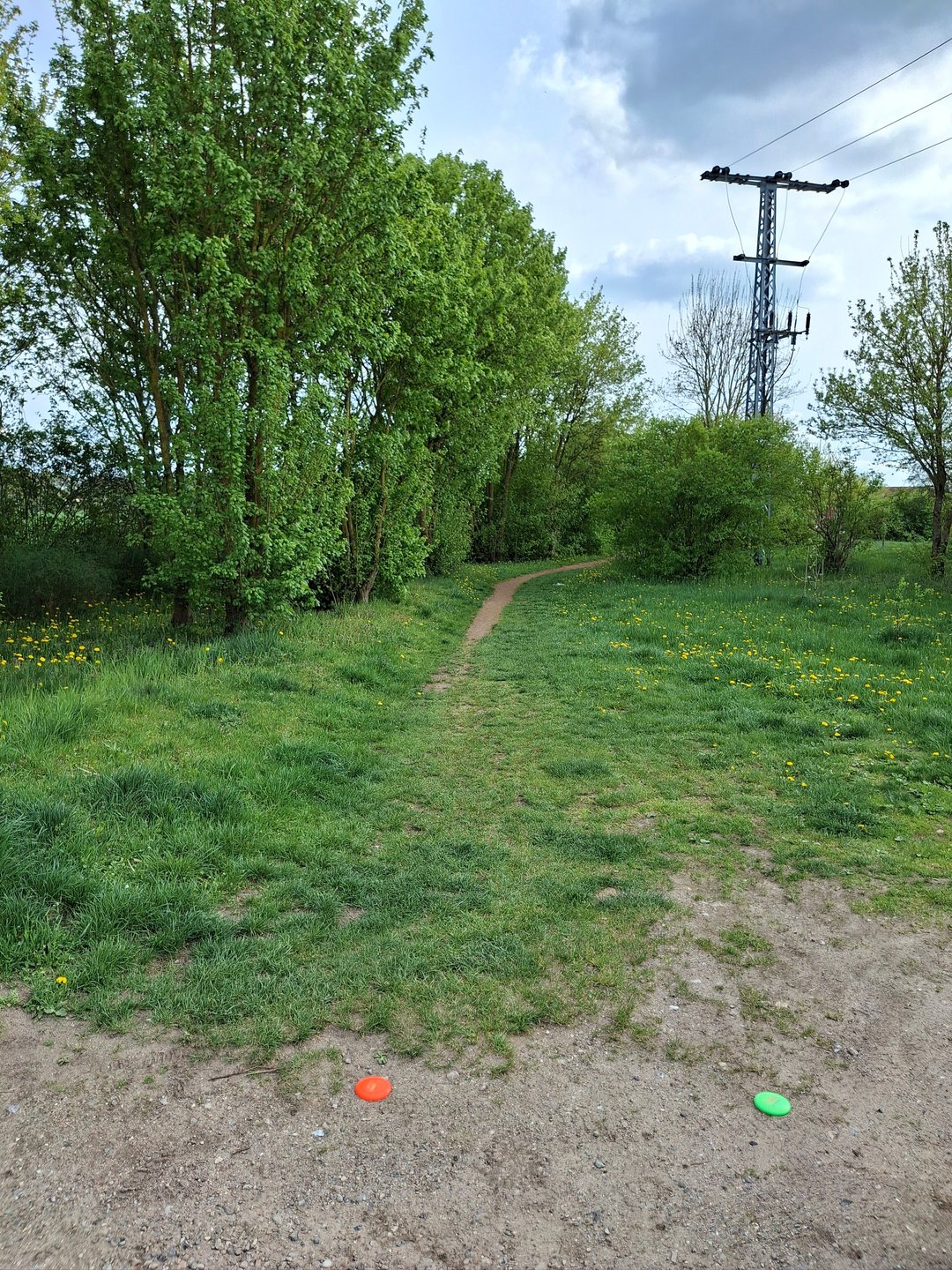 Tee 1 
Tagret: Stone behind the right Bush near the path
