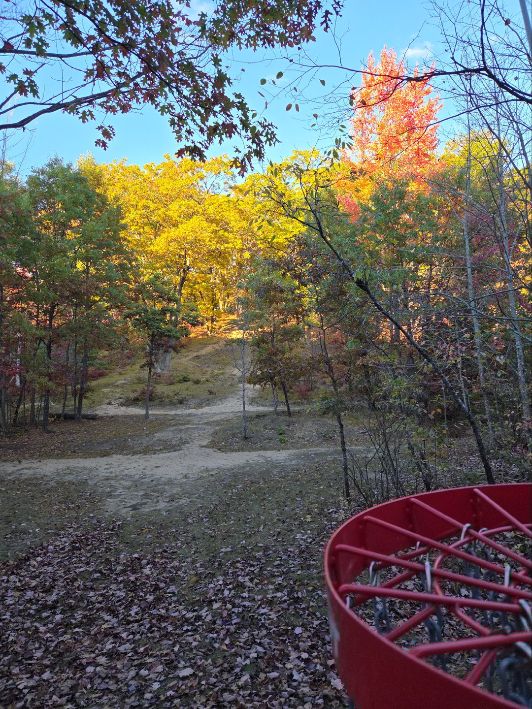 #9 basket looking back up to Tee