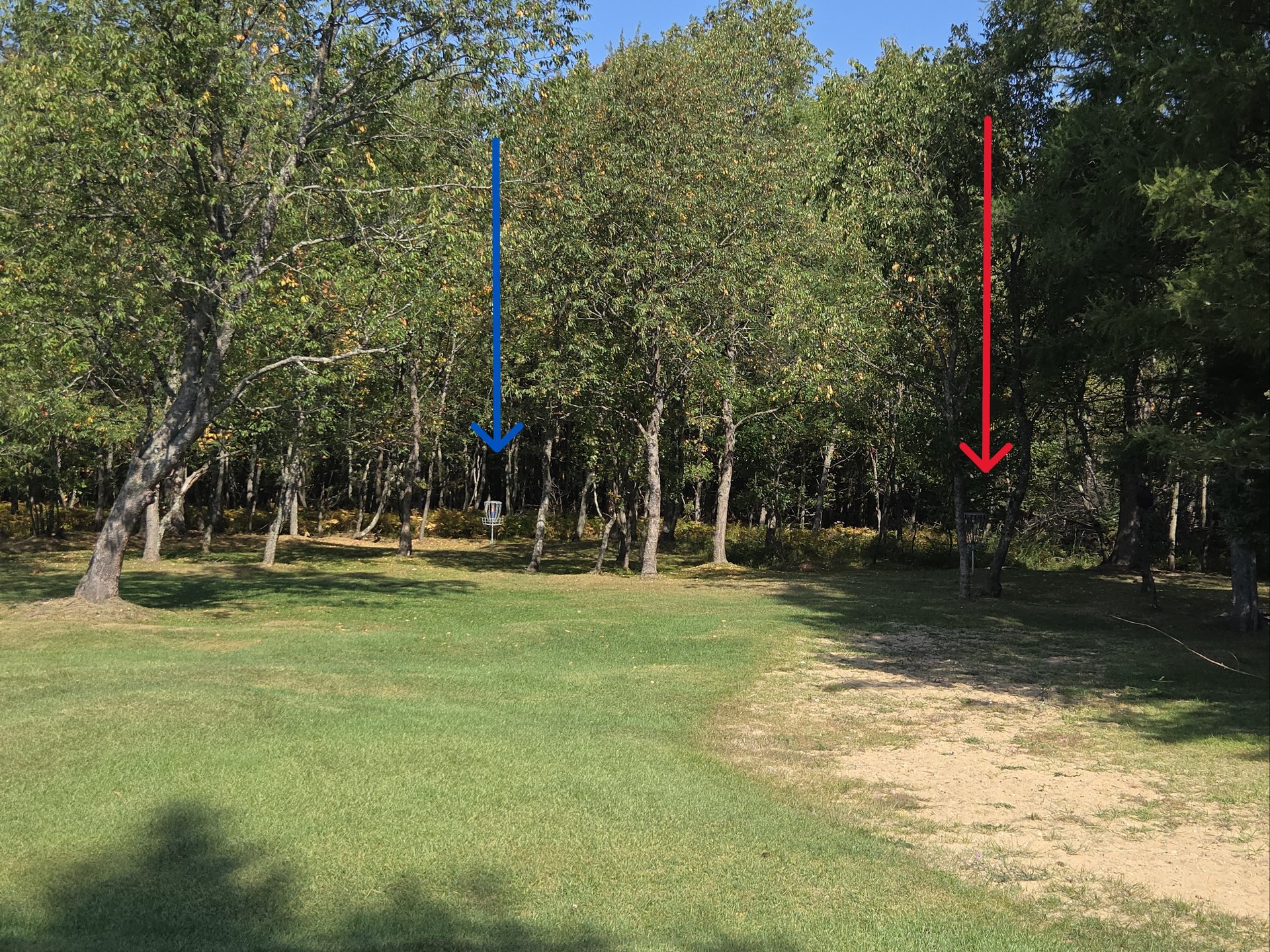 Upshot Red & Blue baskets