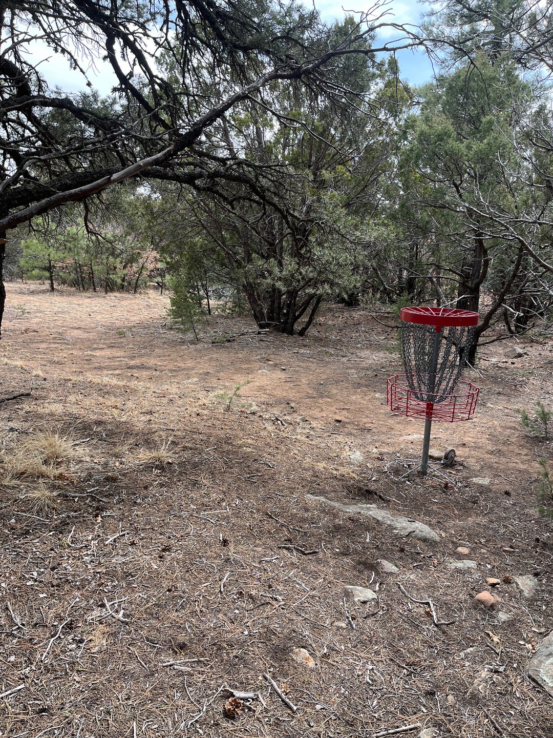 Hole 22 Basket