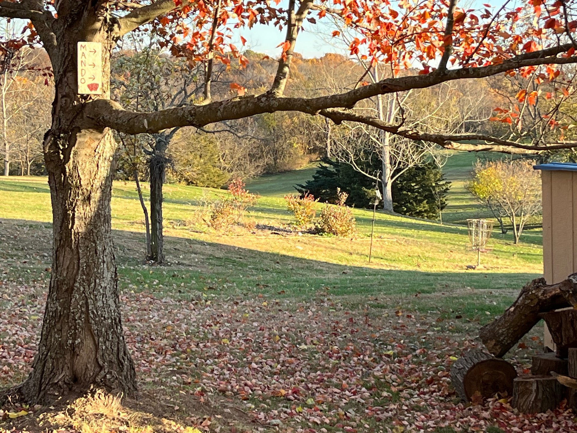 from the t-pad of 7, basket 16 in view. Mando to the right of tree.