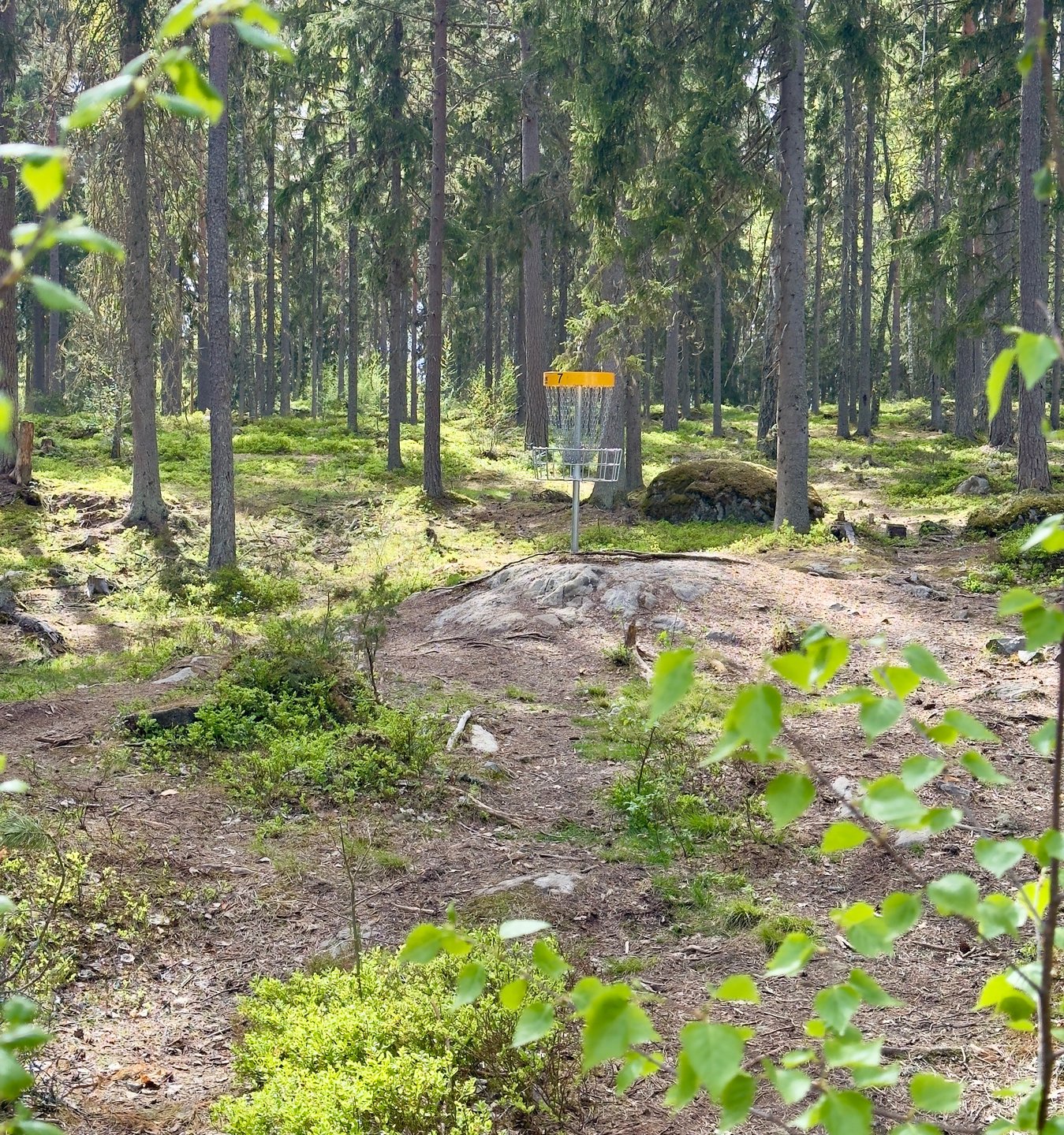 Väylä 7 kori