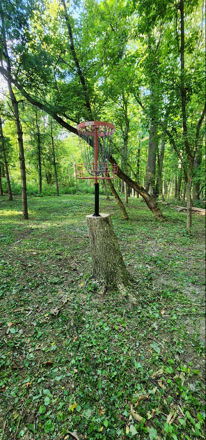 Elevated basket on hole 2