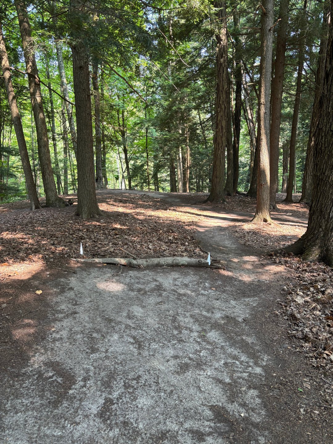 Blind rollover tee for hole 13