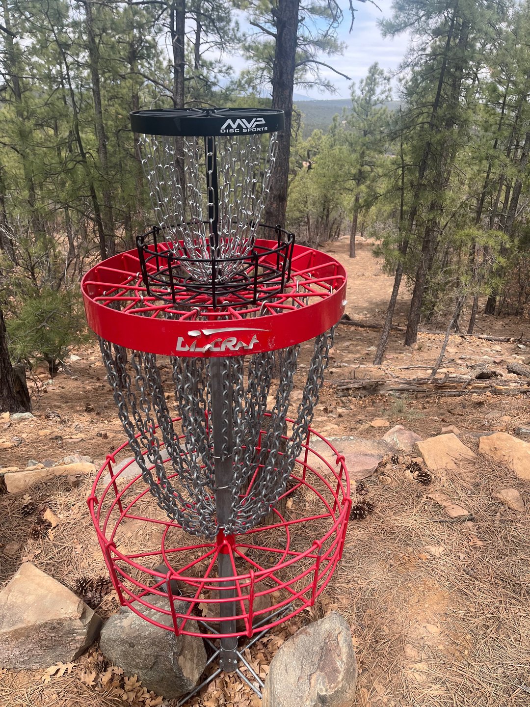Hole 9 Basket 
