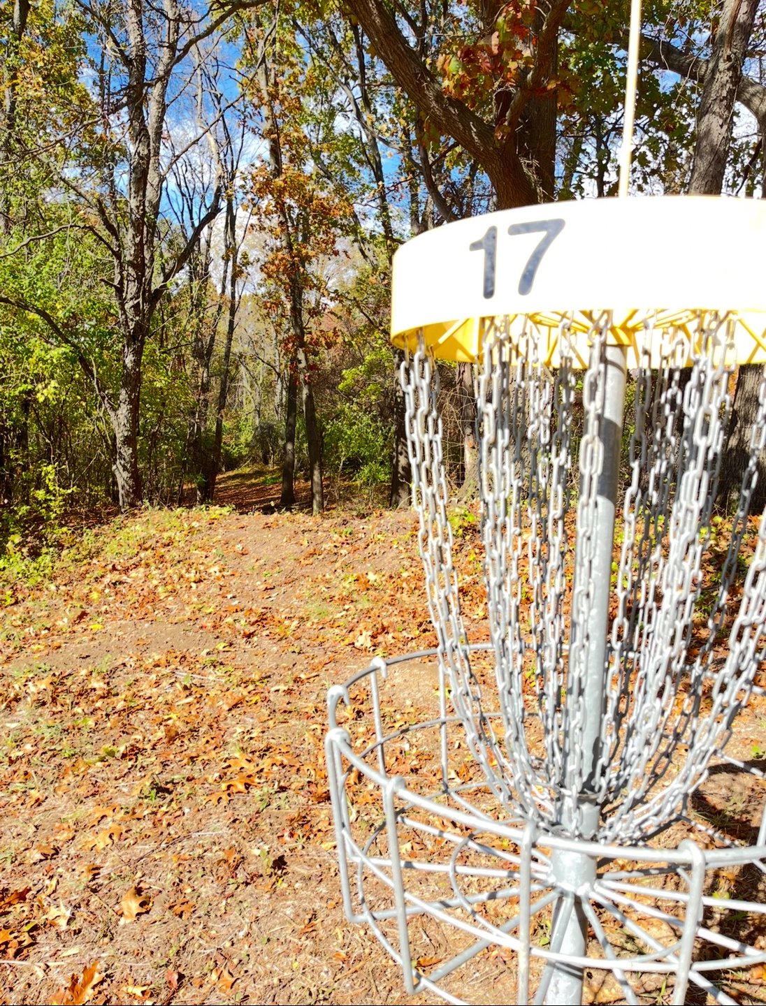 17’s basket in the tougher “a” position looking back at the fairway of this short, tough, narrow par 4.