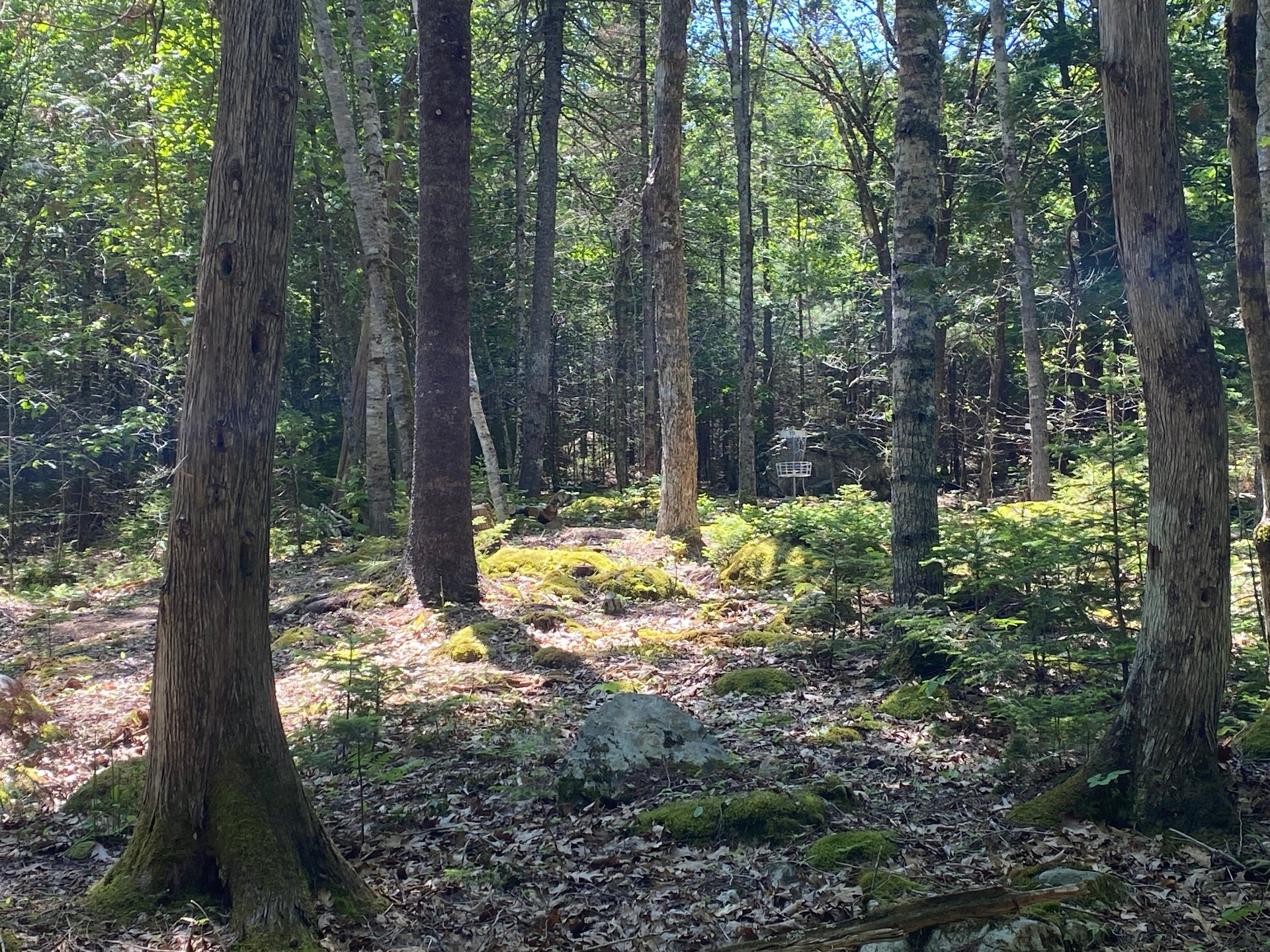 side view of approach to 15 basket
