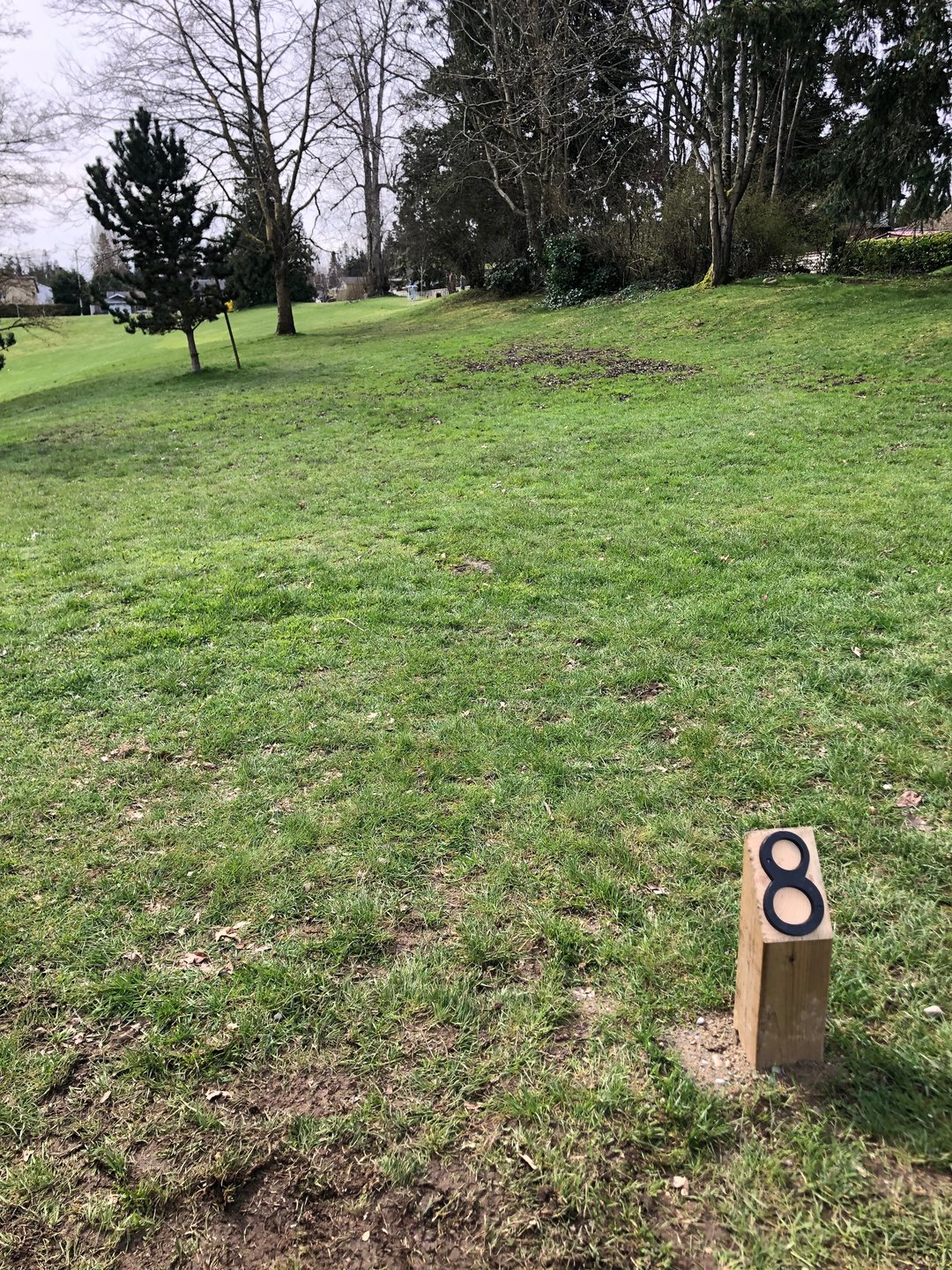 Tee 8. 