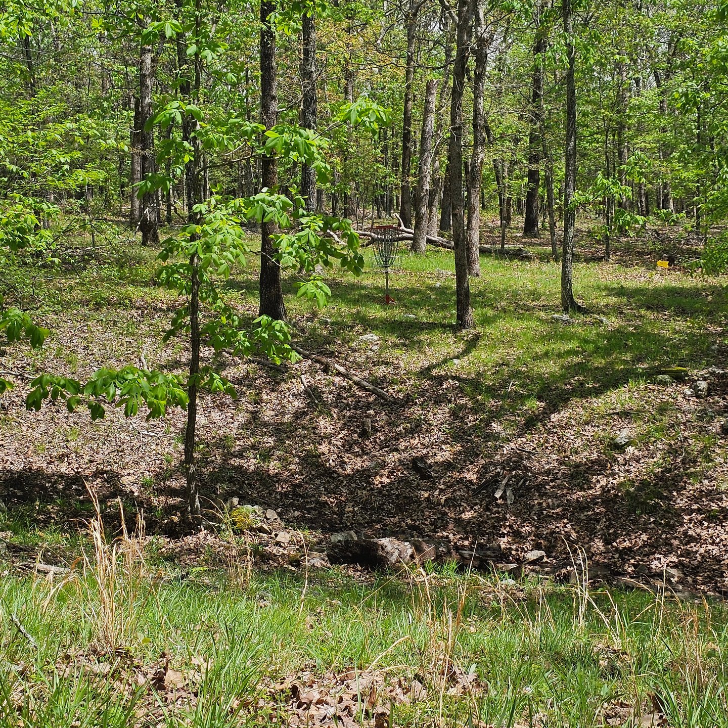 Hole 3 approach. 
