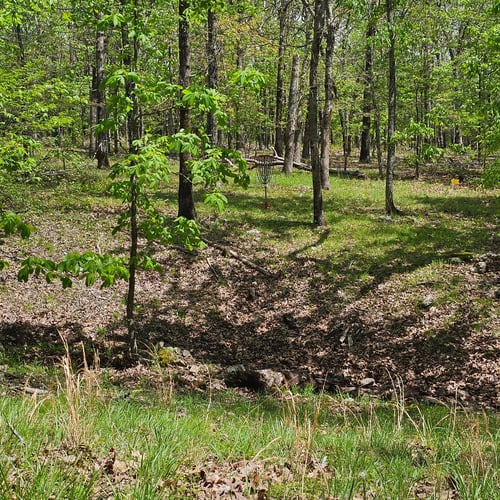 Hole 3 approach. 