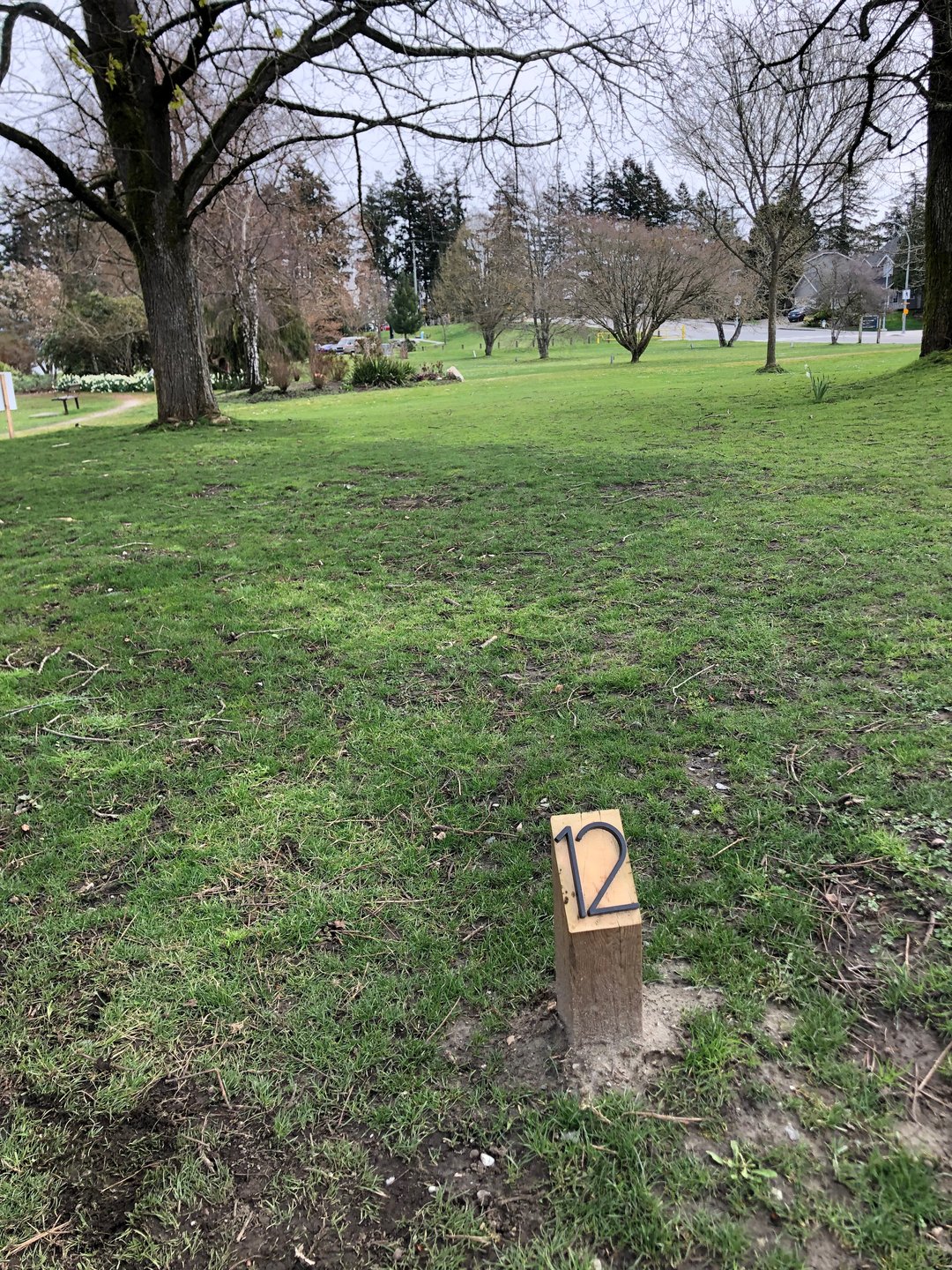 Tee 12. 