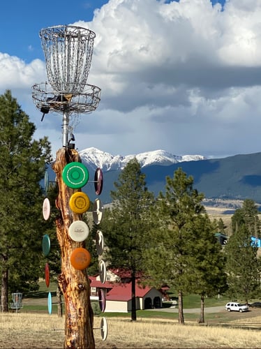 Disc Golf History Totem Pole/ Classic Disc's Replicas Made from hardwood from my actual collection 
