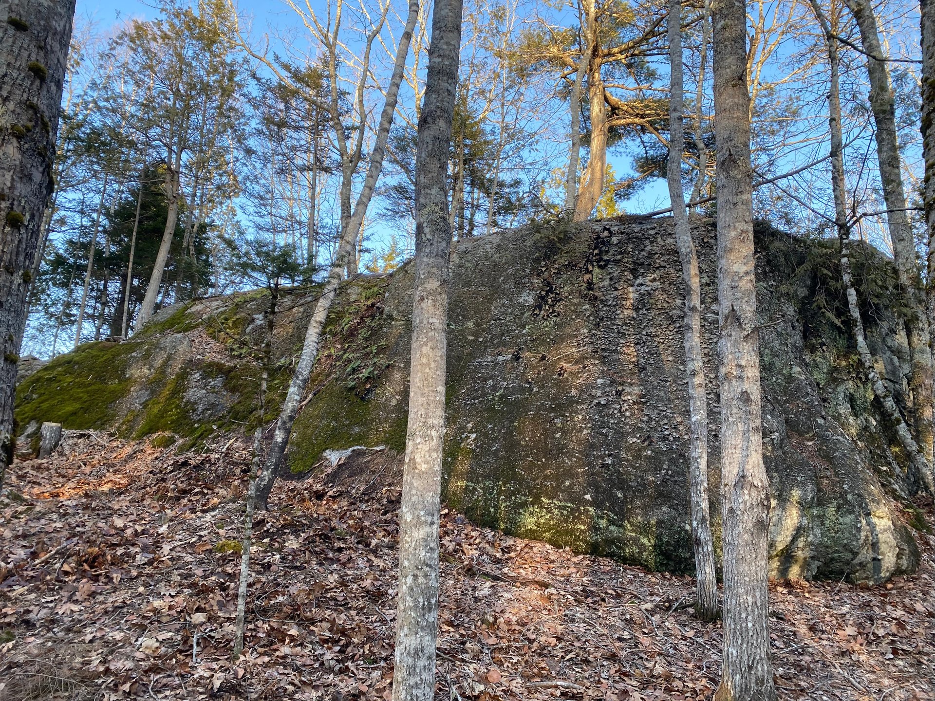Looking up to #9 tee