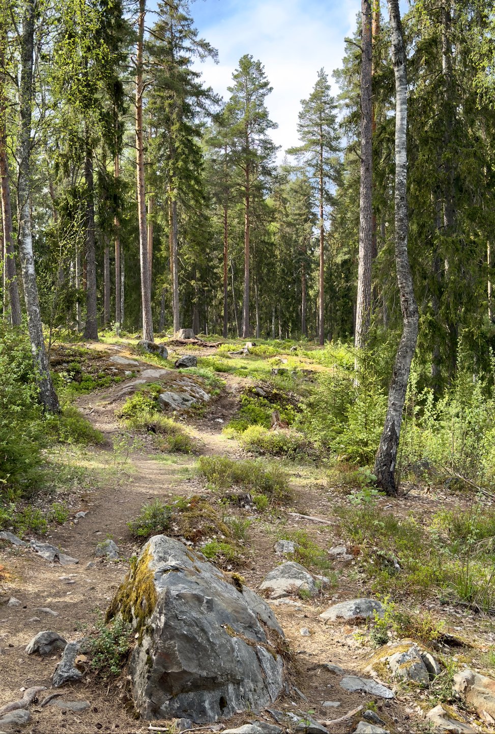 Väylä 10