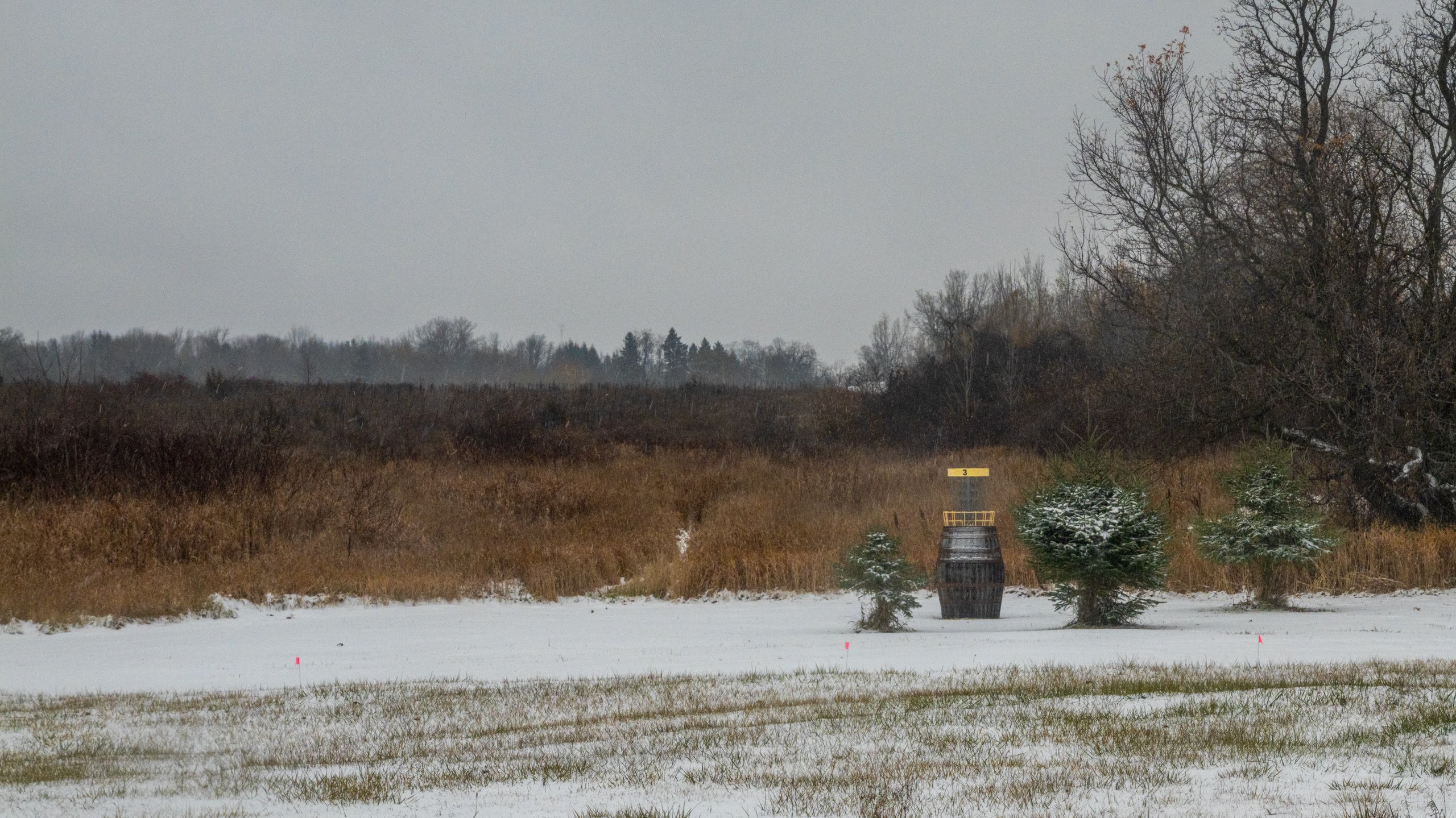Our Big Barrel Basket on Hole 3 Long.