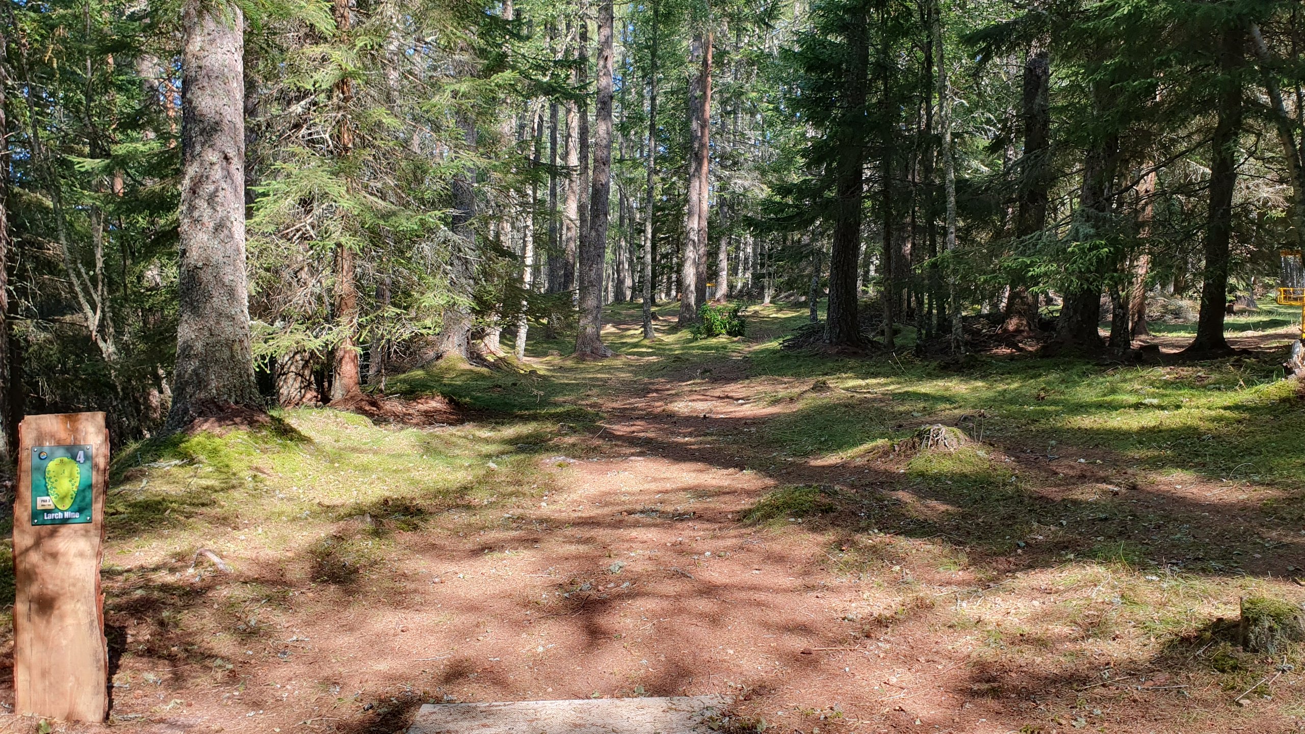 Hole #4 - Larch Nine