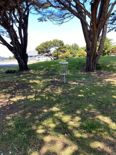 Basket for Hole 29A on the Bandon 30 layout.
