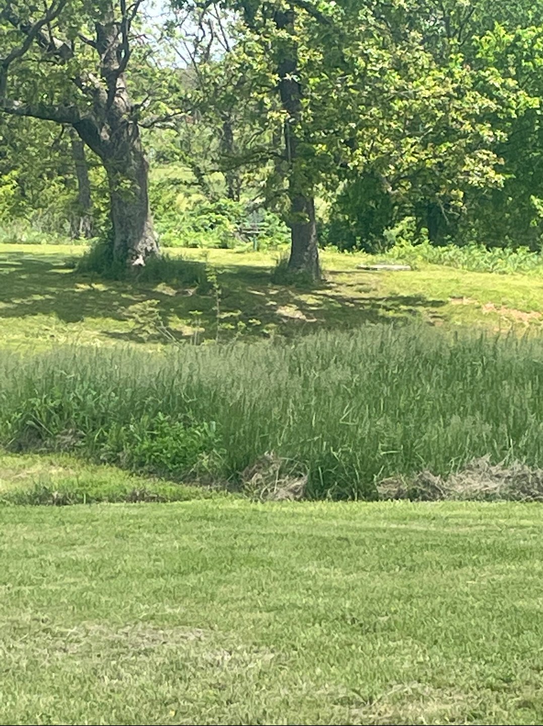 Basket hole 1