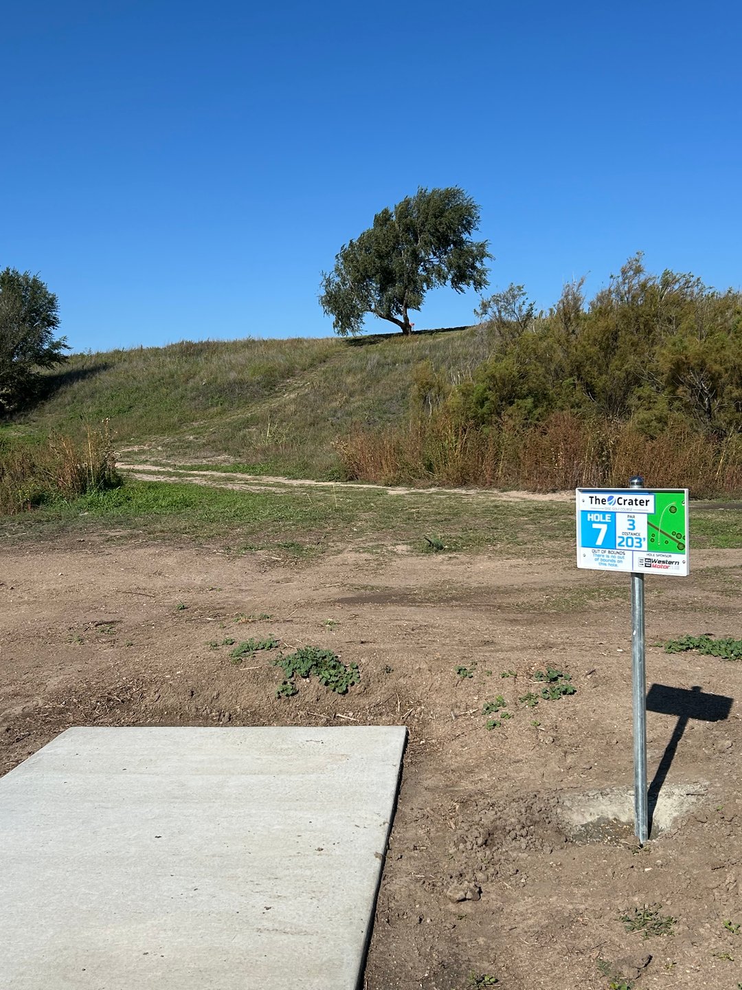 #7 tee - basket is peeking out from behind the tree at the top.