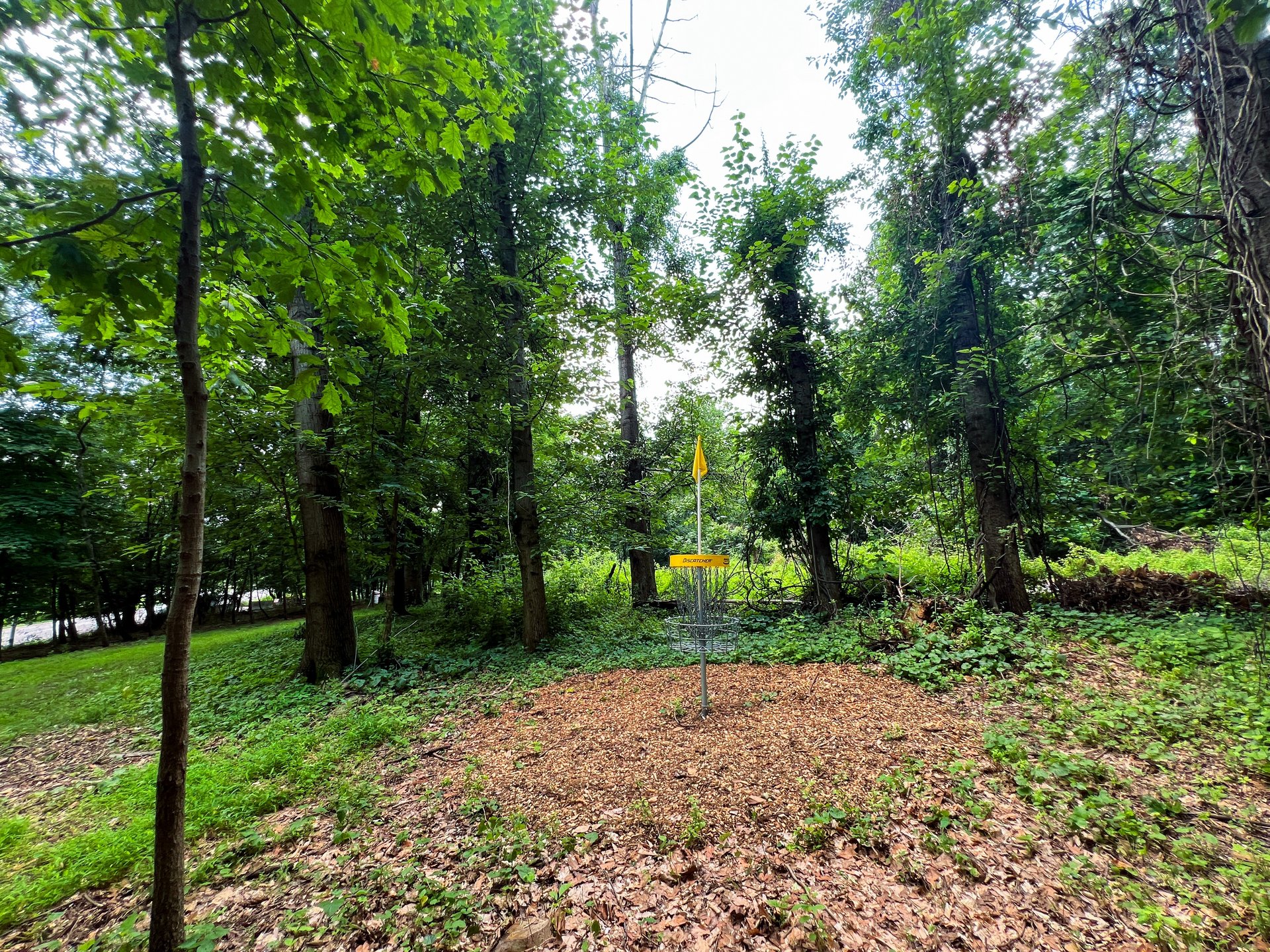 Hole 18's Yellow basket. Par 3. 289 ft. 