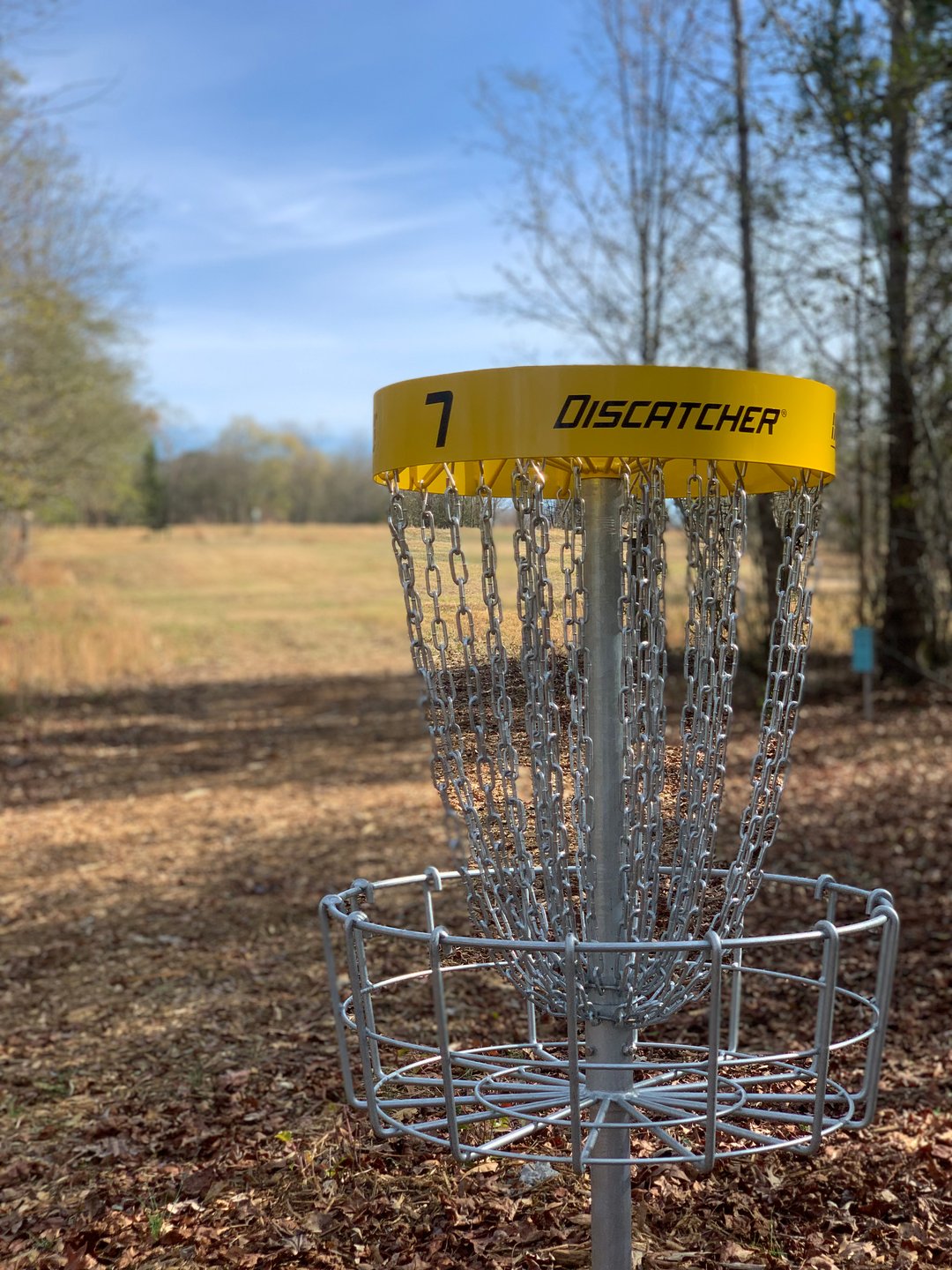 Hole 7 Gold basket with hole 8 tee areas and fairway in background. 