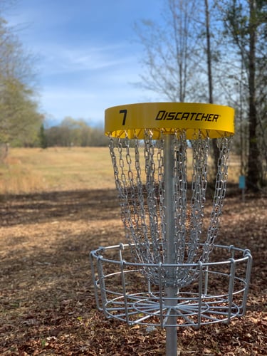 Hole 7 Gold basket with hole 8 tee areas and fairway in background. 