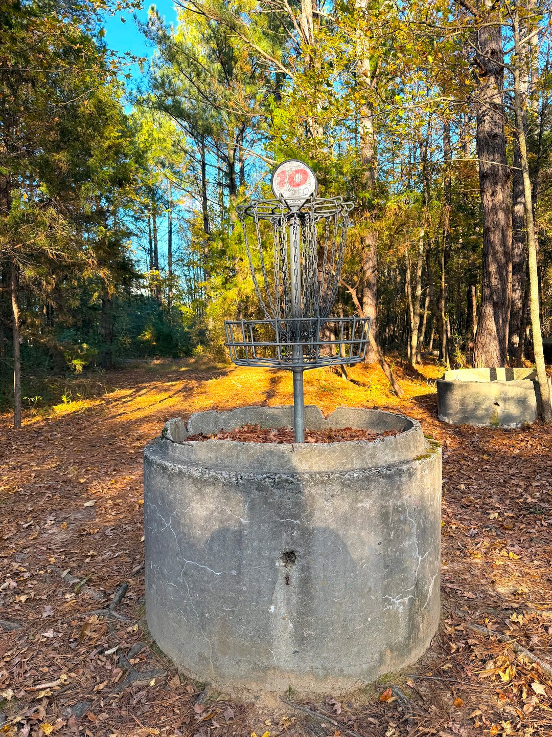 Hole 10 Basket