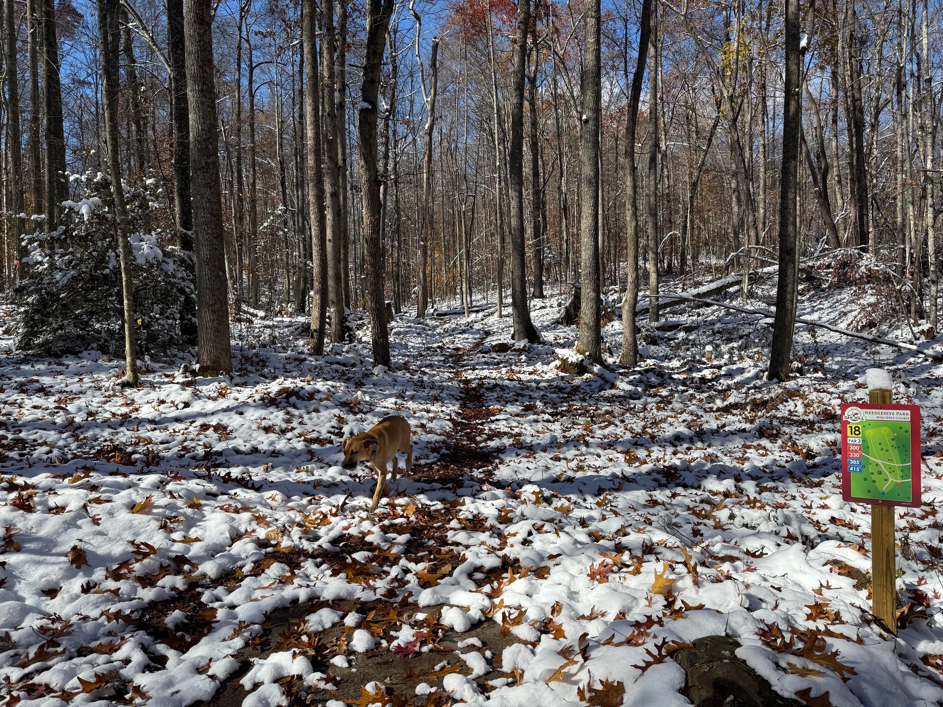 View from the short teepad