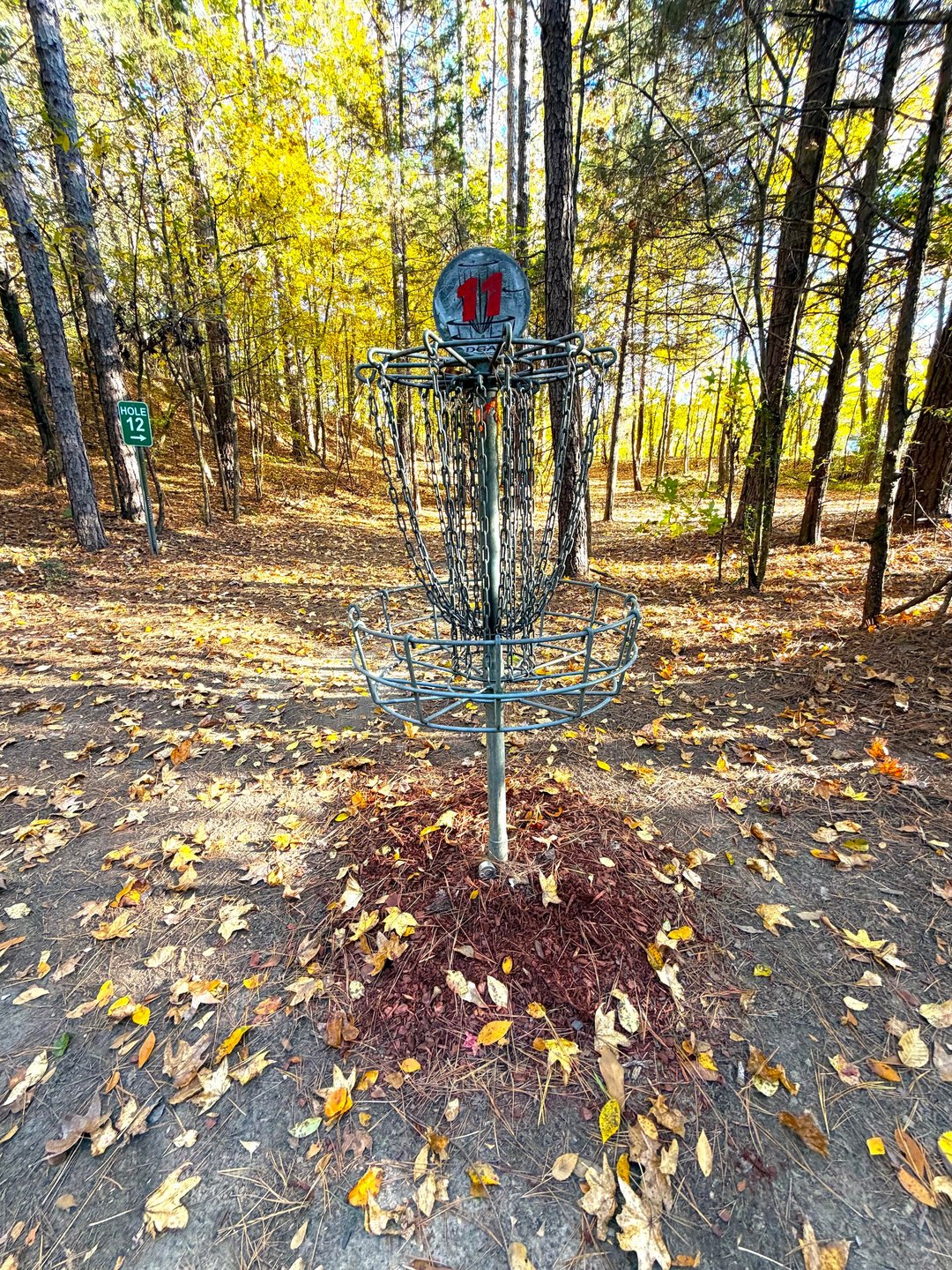 Hole 11 Basket