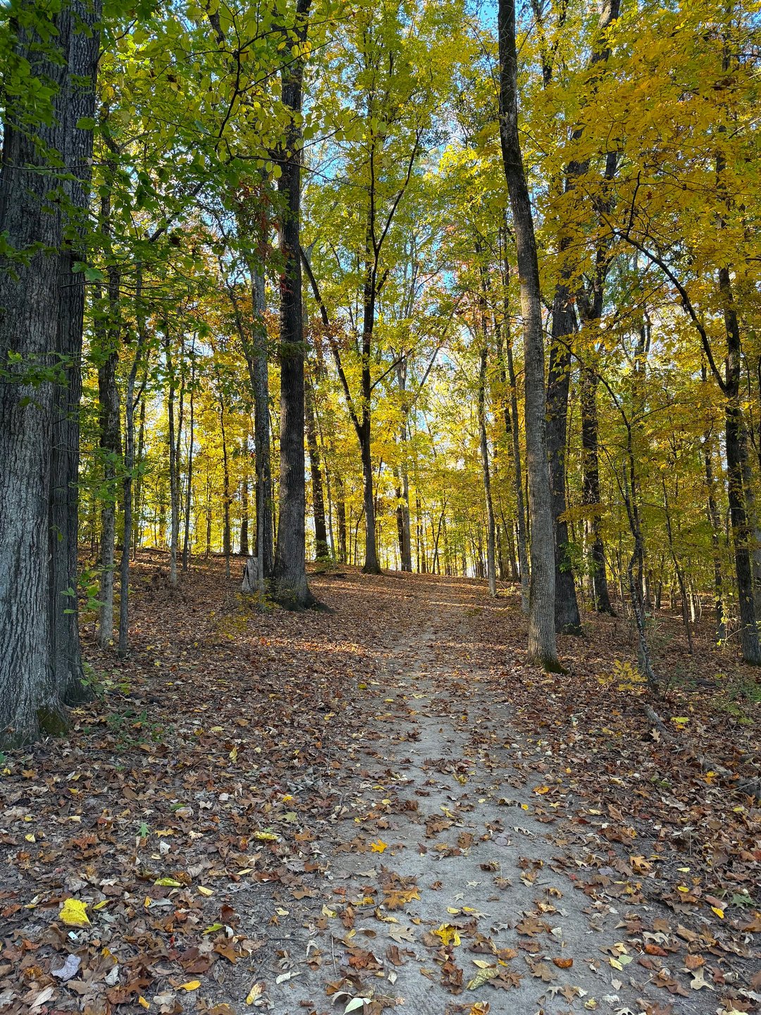 Hole 5 Uphill Fairway