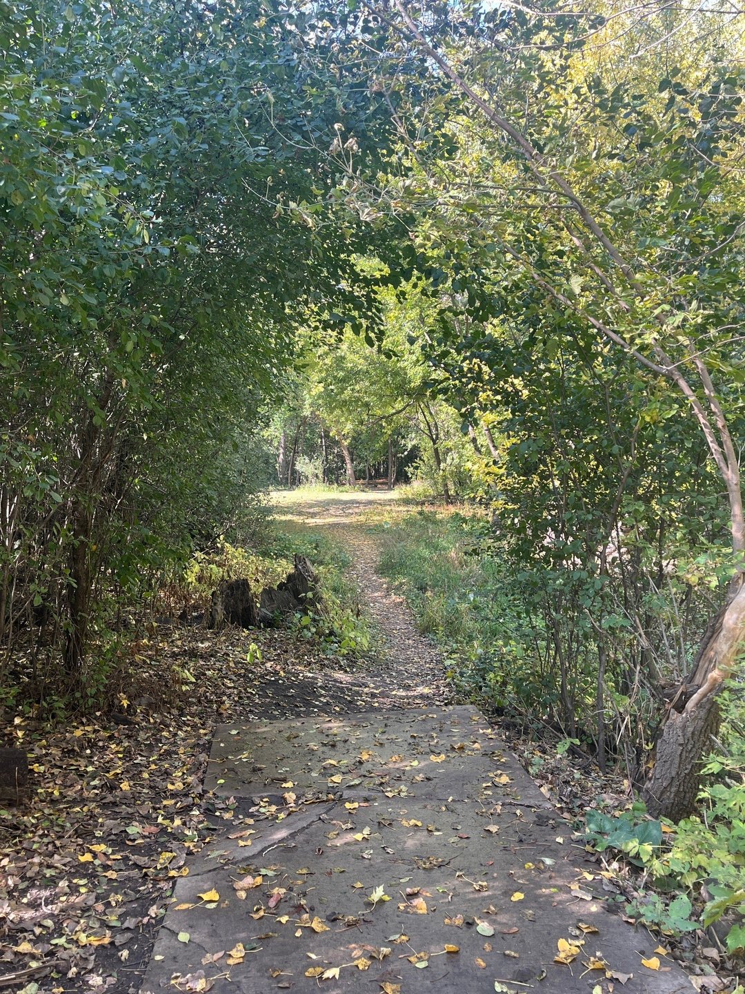 6 tee