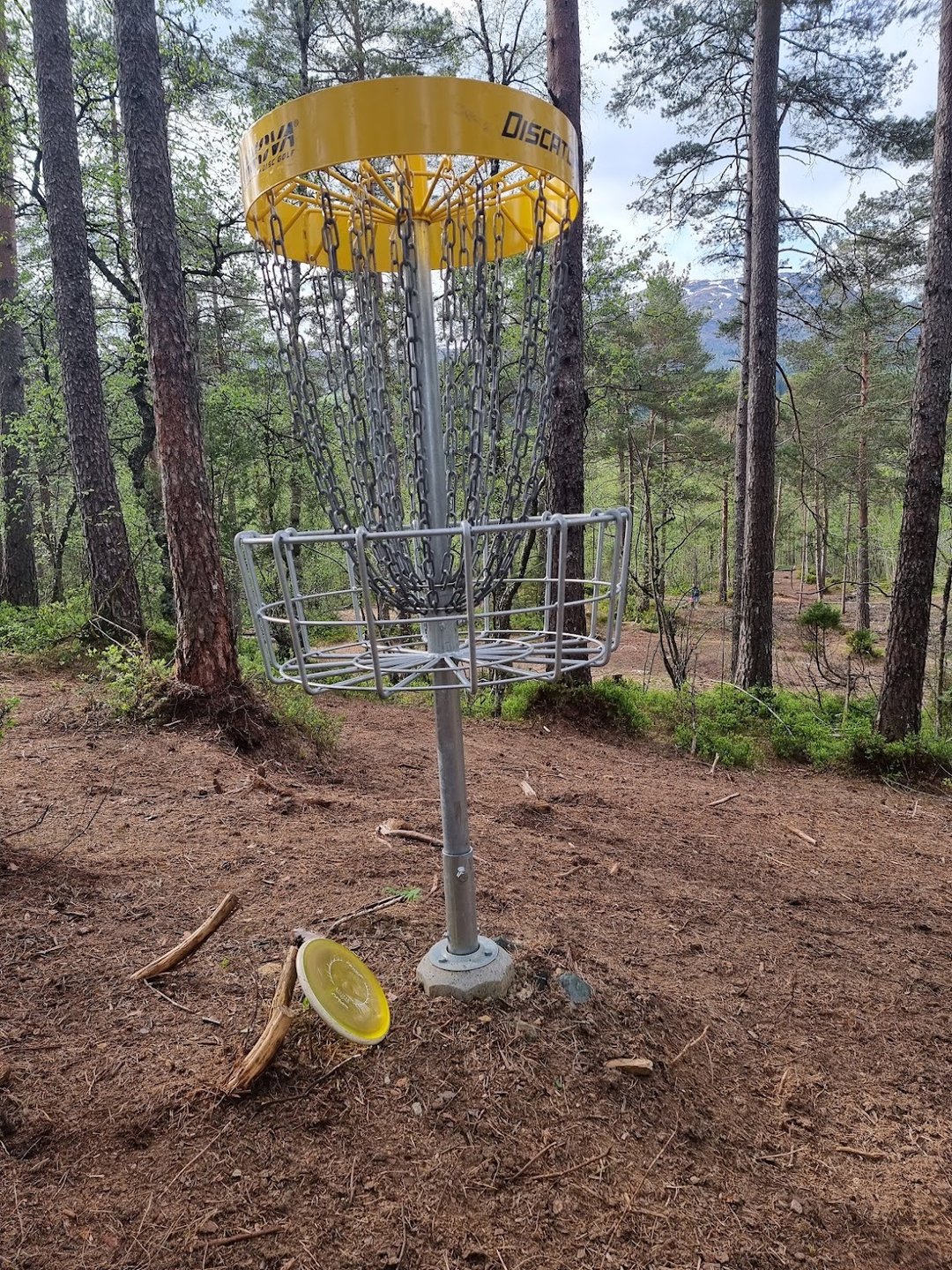 Basket on hole 6