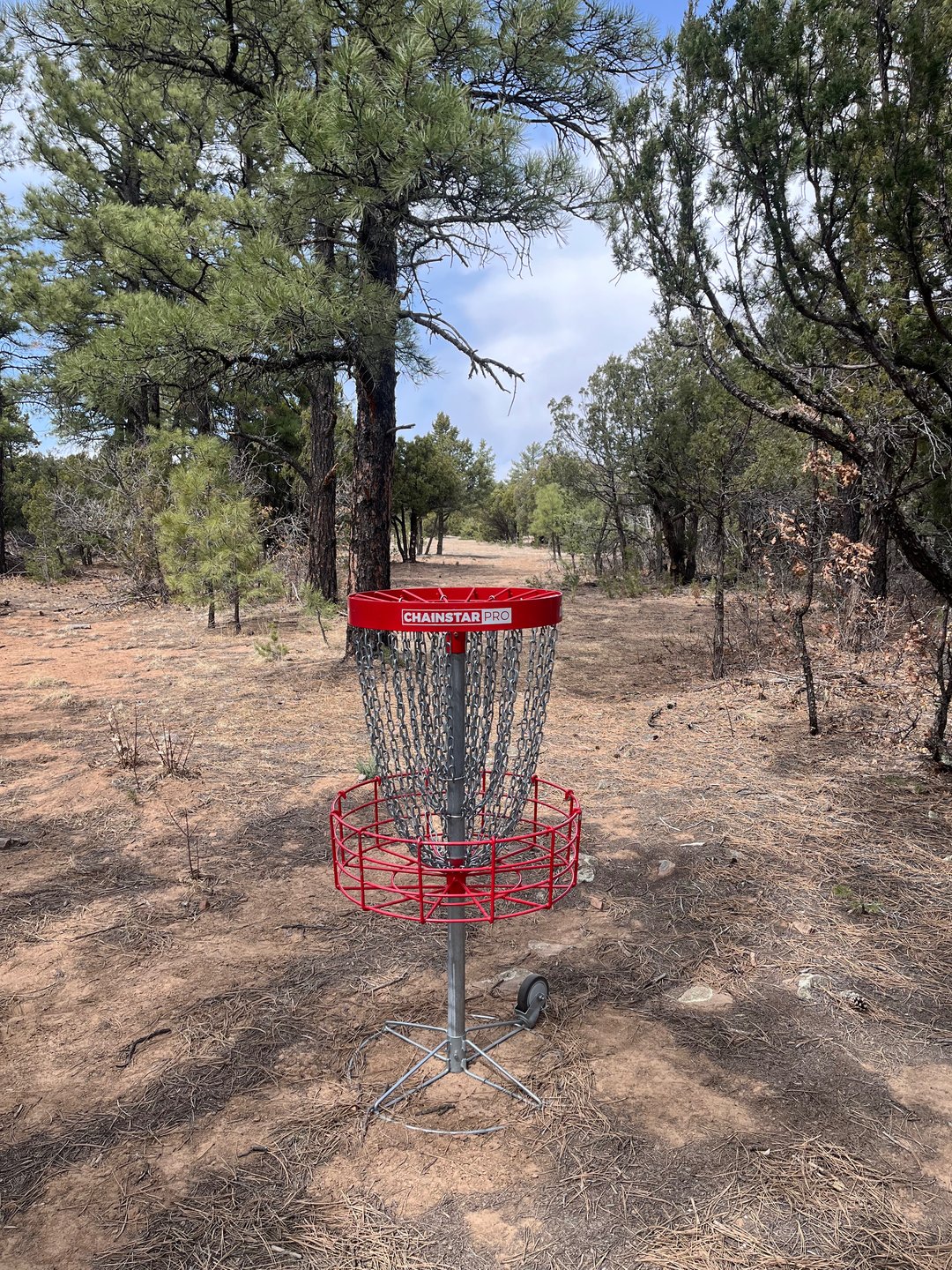 Hole 21 Basket