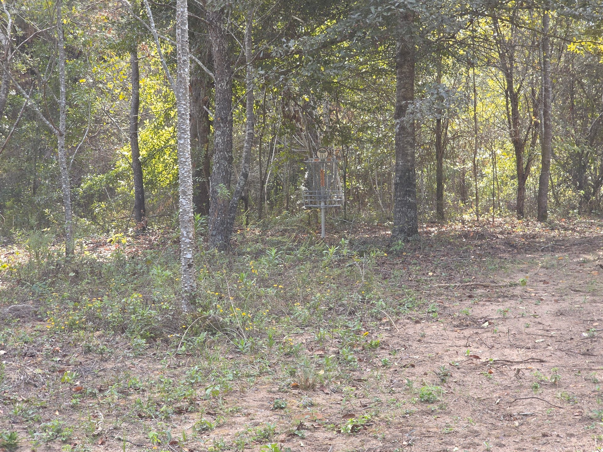 Hole 10's basket behind the guardians.
