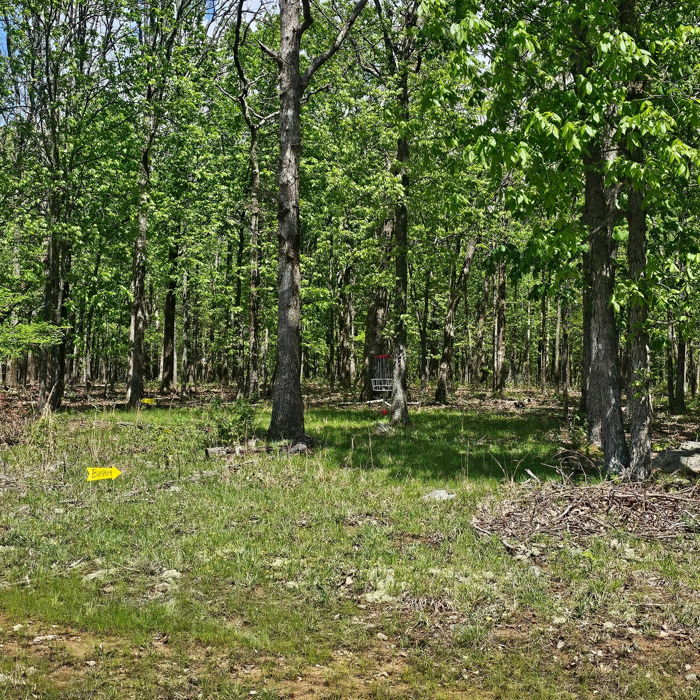 Hole 5 approach. 