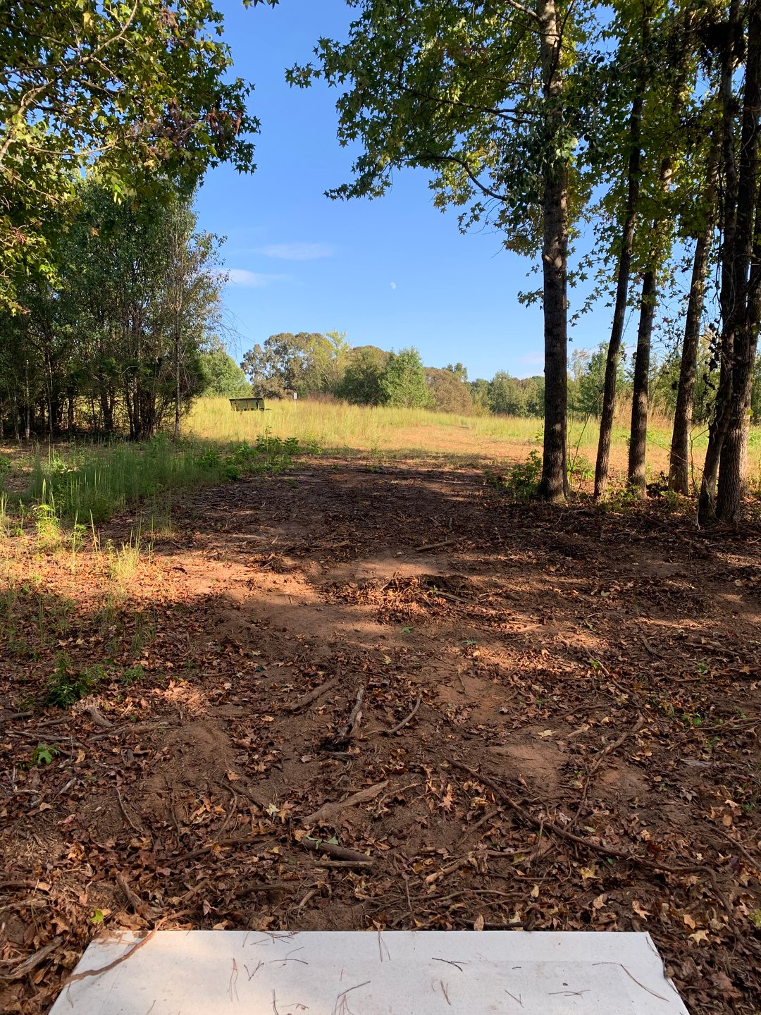 Hole 8 - Gold Tee (under construction)