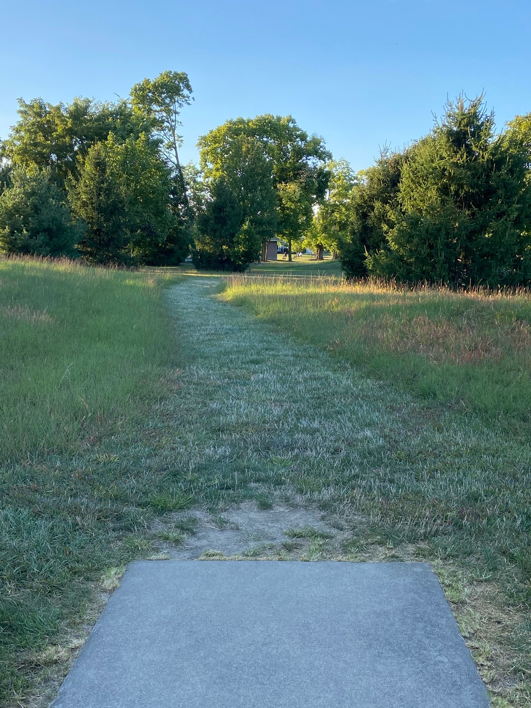 Hole 18. Basket bends to the right and is on a hill. 