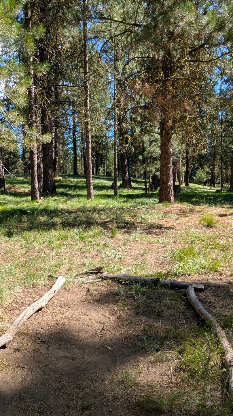 #5 Tee Pad 