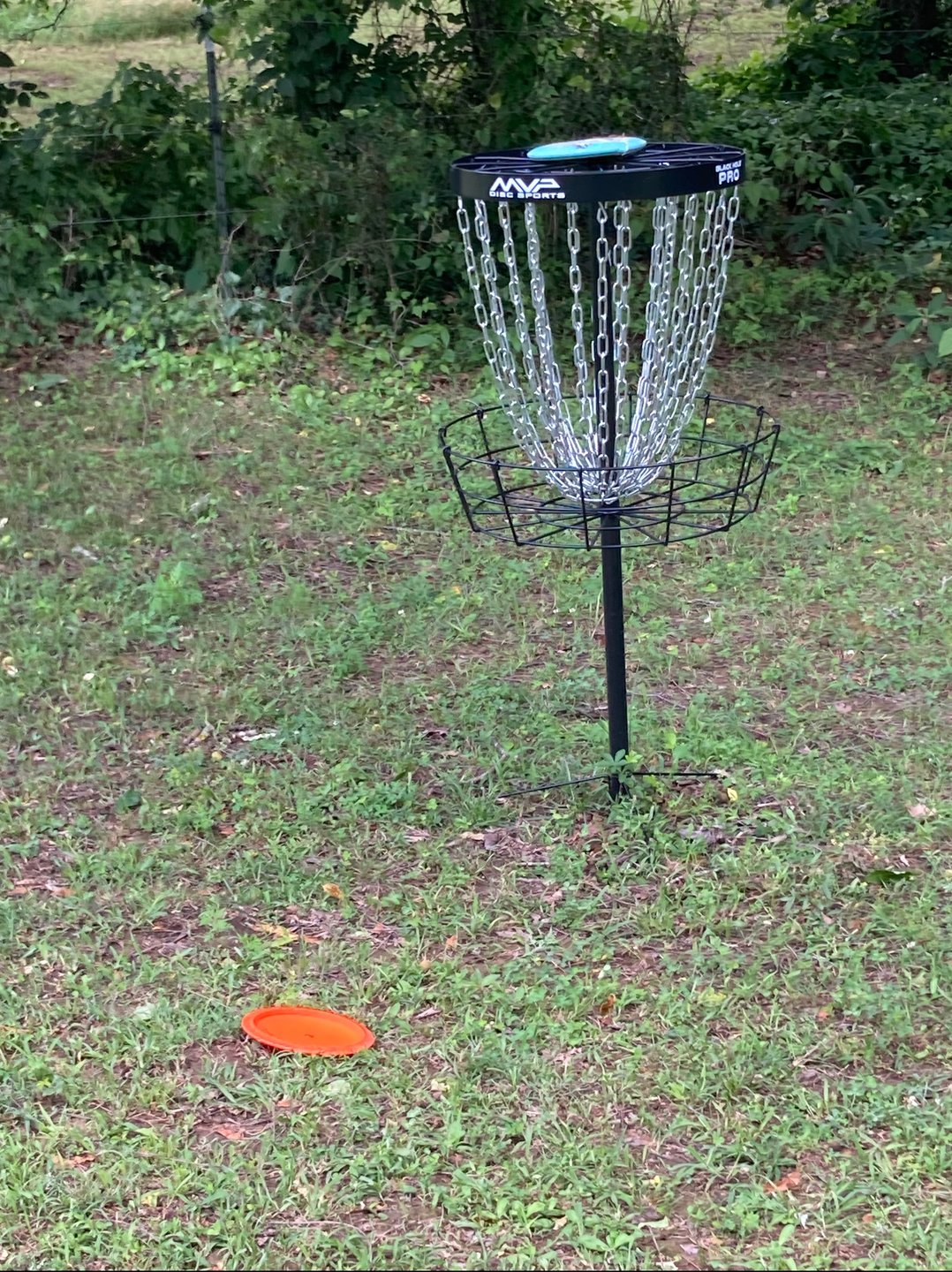 Almost an ace hit the basket