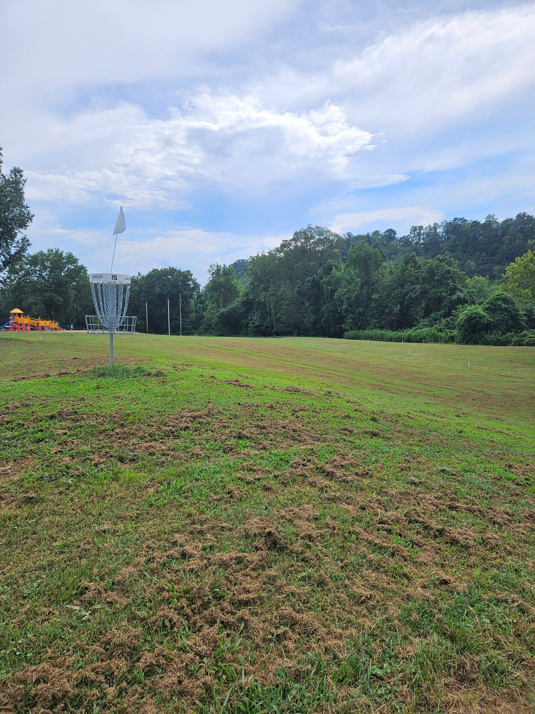 Behind Long Basket, Looking back up fairway. OB Beyond Left and Right White Stakes.