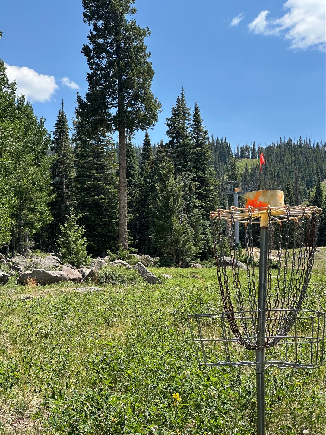 Basket of 13 looking back up the fairway towards the tee