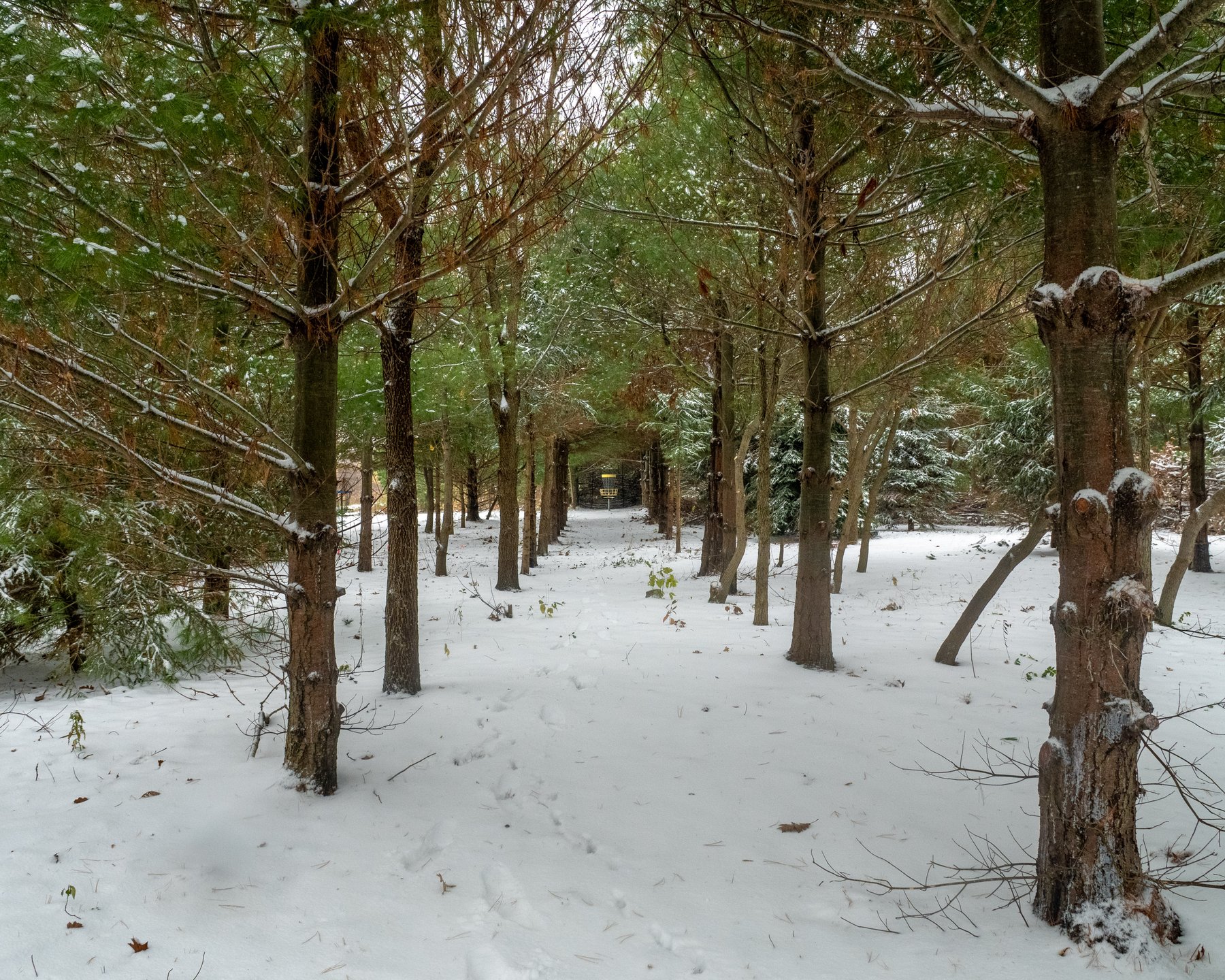 View from Hole 1 Short Tee