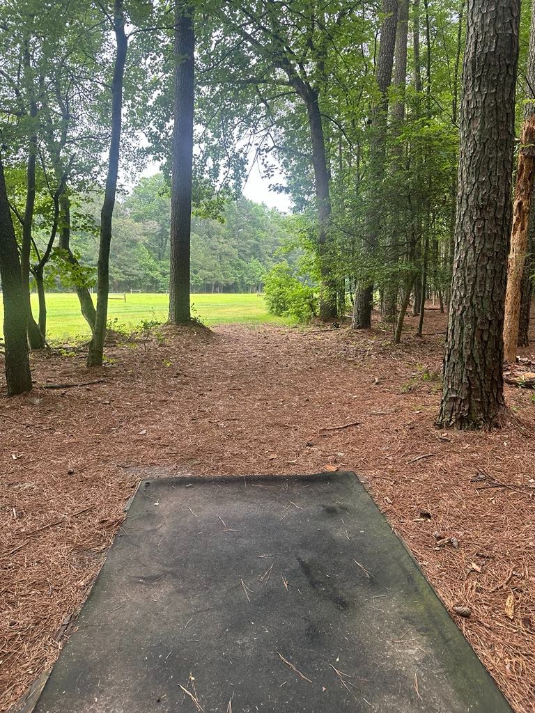 View from Long... 640 feet dog leg right and back into the far woods for Gold

New paver install slated for 2025