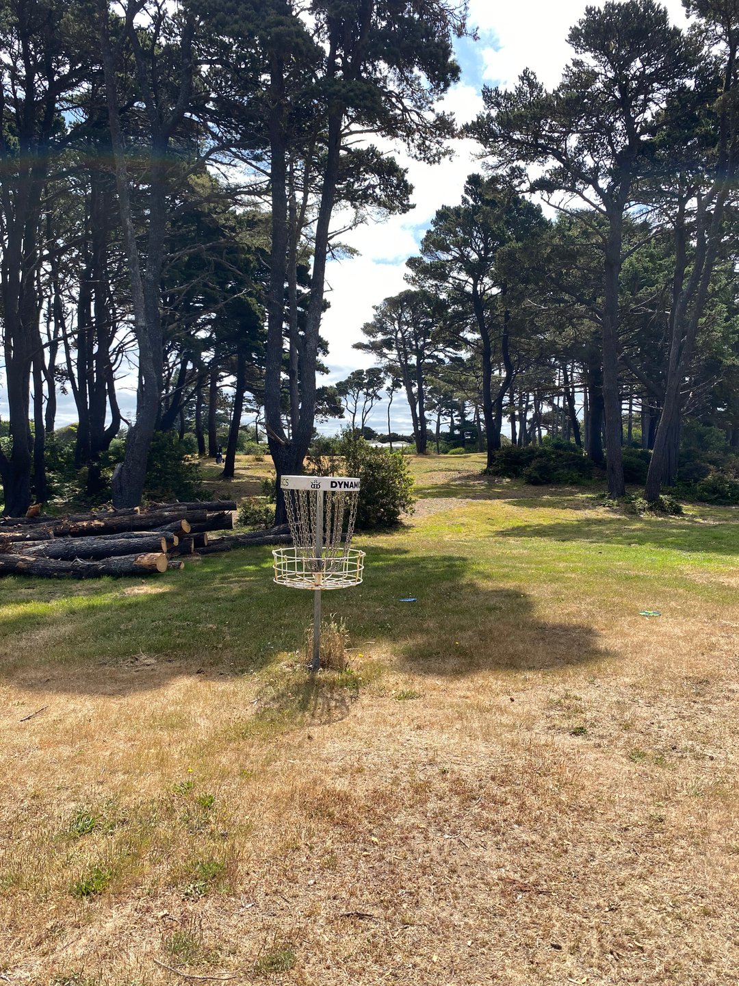Basket for Hole 13A on the Bandon 30 layout.  Image is looking back up the fairway toward the tee pad.