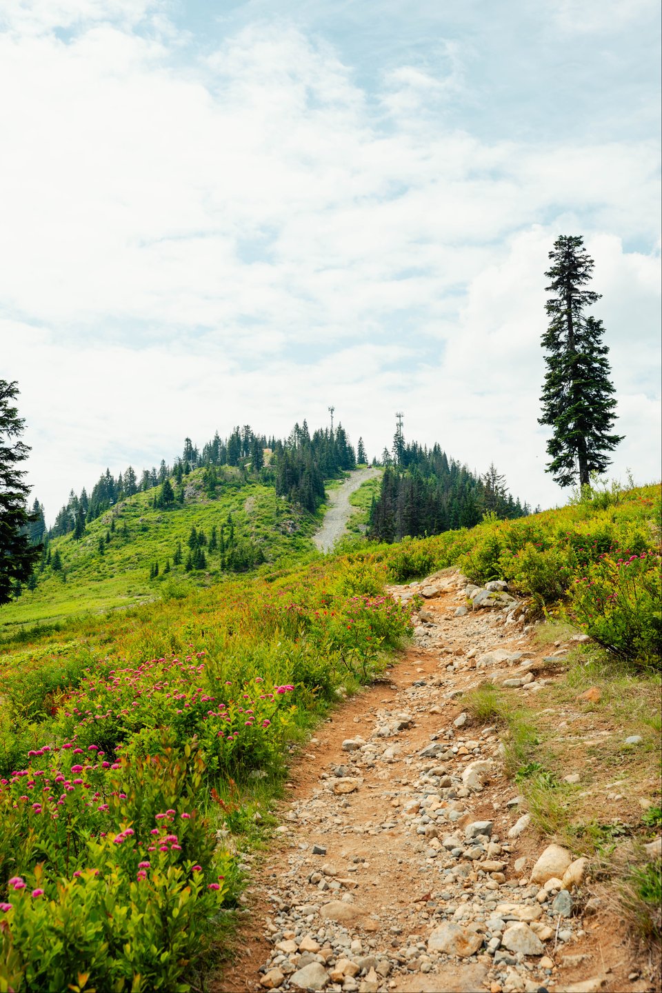 Looking up the PCT near hole 9